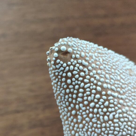 VTG Italian Fratelli Fanciullacci Double Dish with handle Pebble Lava 11.5" - Picture 11 of 16